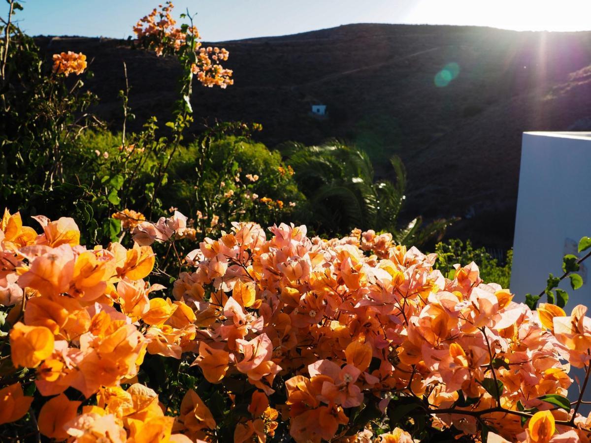Villa Mariza Kíthnos Buitenkant foto